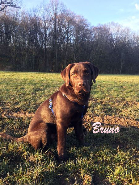 Bruno,6 Monate