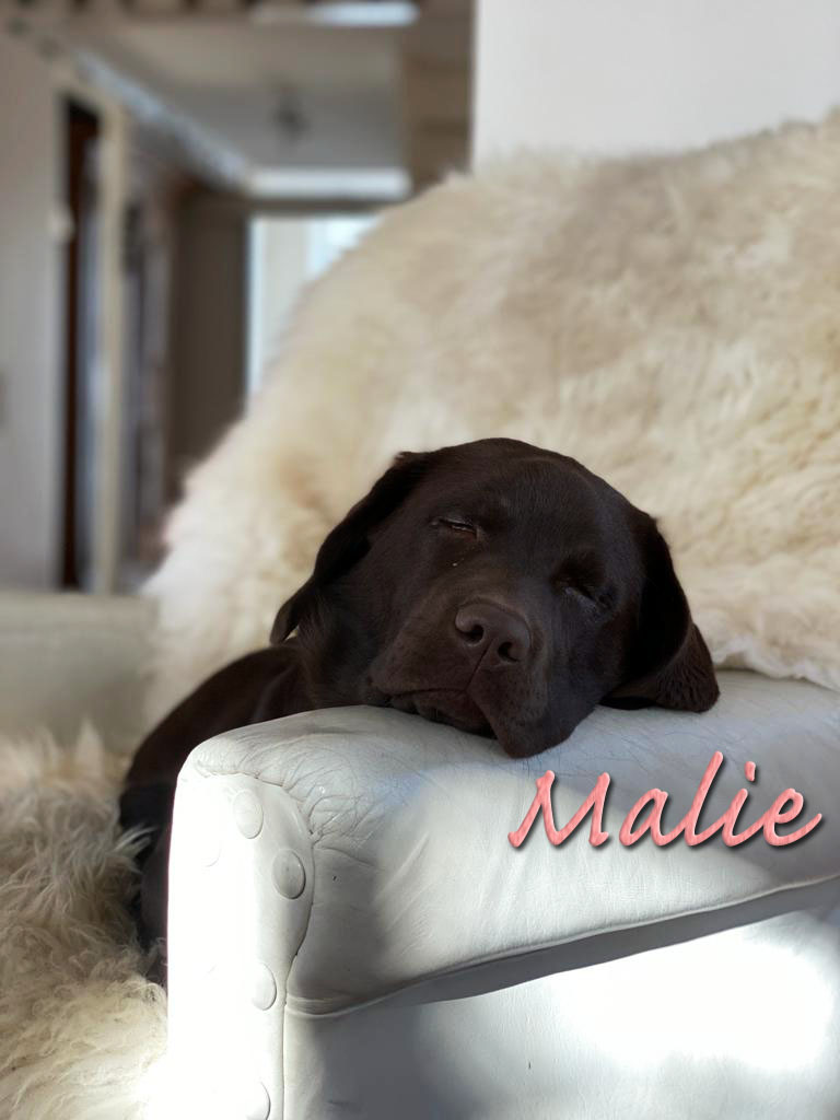 Malie, 6 Monate