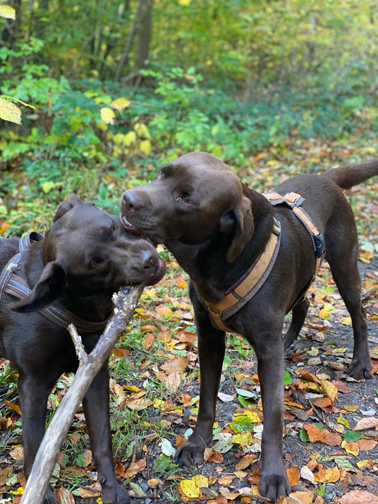 Malie mit Freund Emil